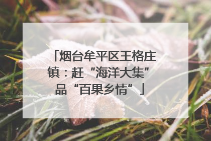 烟台牟平区王格庄镇：赶“海洋大集” 品“百果乡情”