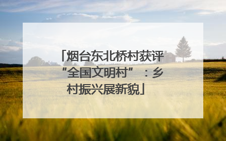 烟台东北桥村获评“全国文明村”：乡村振兴展新貌