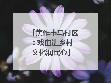 焦作市马村区：戏曲进乡村 文化润民心