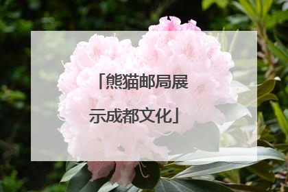 熊猫邮局展示成都文化