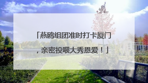 燕鸥组团准时打卡厦门，亲密投喂大秀恩爱！