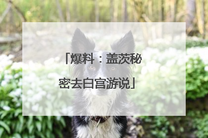 爆料：盖茨秘密去白宫游说