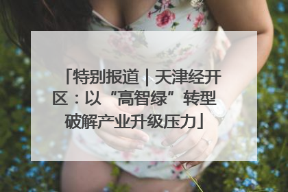 特别报道｜天津经开区：以“高智绿”转型破解产业升级压力