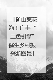 矿山变花海！广丰“三色引擎”催生乡村振兴新图景