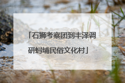 石狮考察团到丰泽调研蟳埔民俗文化村