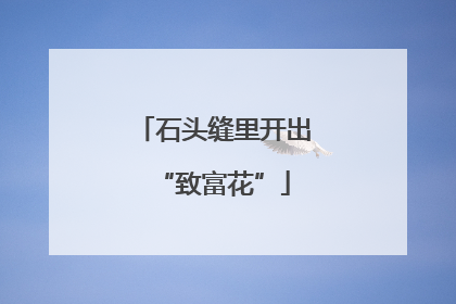 石头缝里开出“致富花”