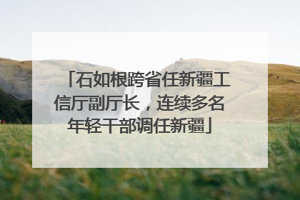 石如根跨省任新疆工信厅副厅长，连续多名年轻干部调任新疆