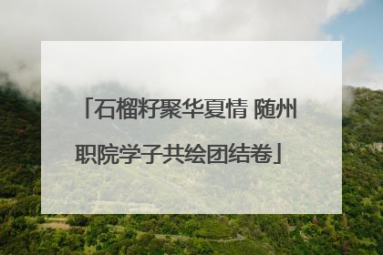 石榴籽聚华夏情 随州职院学子共绘团结卷