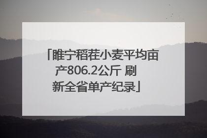 睢宁稻茬小麦平均亩产806.2公斤 刷新全省单产纪录