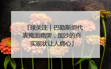 球关注｜巴勒斯坦代表掩面痛哭，加沙的真实现状让人痛心