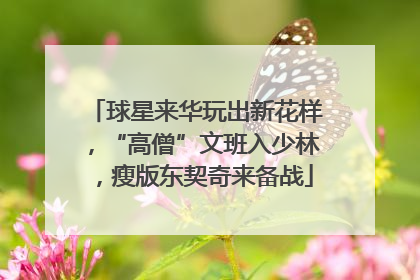 球星来华玩出新花样，“高僧”文班入少林，瘦版东契奇来备战