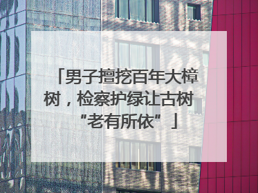 男子擅挖百年大樟树，检察护绿让古树“老有所依”