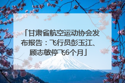 甘肃省航空运动协会发布报告：飞行员彭玉江、顾志敏停飞6个月
