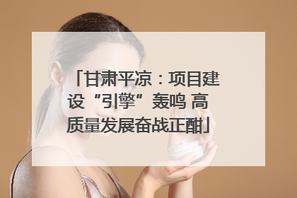 甘肃平凉：项目建设“引擎”轰鸣 高质量发展奋战正酣