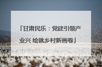 甘肃民乐：党建引领产业兴 绘就乡村新画卷