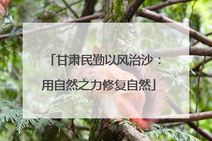 甘肃民勤以风治沙：用自然之力修复自然