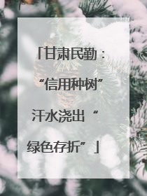 甘肃民勤：“信用种树” 汗水浇出“绿色存折”