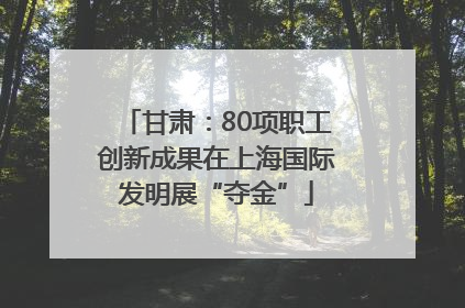 甘肃：80项职工创新成果在上海国际发明展“夺金”