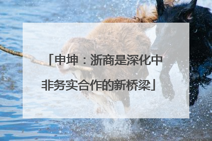 申坤：浙商是深化中非务实合作的新桥梁