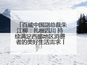 百威中国副总裁朱江柳：扎根四川 持续满足西部地区消费者的美好生活需求丨西望四川
