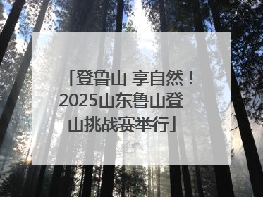 登鲁山 享自然！2025山东鲁山登山挑战赛举行