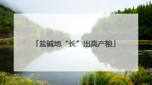 盐碱地“长”出高产粮