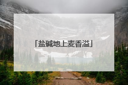 盐碱地上麦香溢