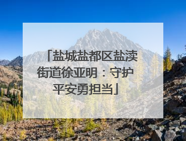 盐城盐都区盐渎街道徐亚明：守护平安勇担当