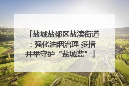 盐城盐都区盐渎街道：强化油烟治理 多措并举守护“盐城蓝”
