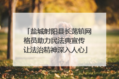 盐城射阳县长荡镇网格员助力民法典宣传 让法治精神深入人心
