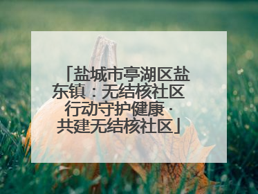 盐城市亭湖区盐东镇：无结核社区行动守护健康 ·共建无结核社区