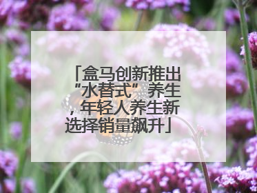 盒马创新推出“水替式”养生，年轻人养生新选择销量飙升