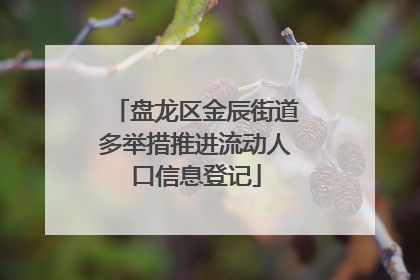 盘龙区金辰街道多举措推进流动人口信息登记