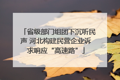 省级部门组团下沉听民声 河北构建民营企业诉求响应“高速路”