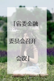 省委金融委员会召开会议