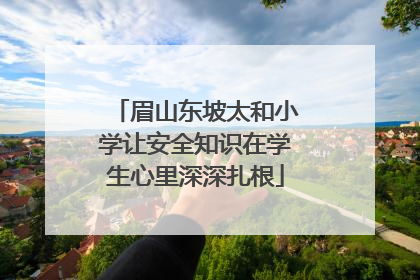 眉山东坡太和小学让安全知识在学生心里深深扎根