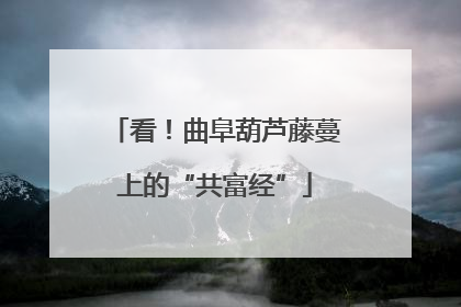 看！曲阜葫芦藤蔓上的“共富经”