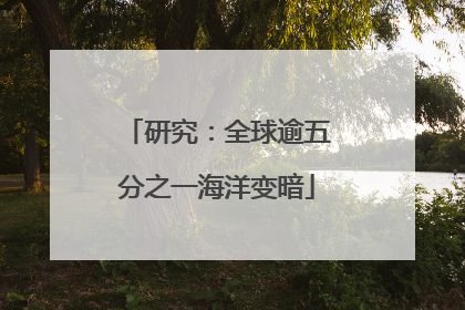 研究：全球逾五分之一海洋变暗