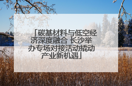 碳基材料与低空经济深度融合 长沙举办专场对接活动撬动产业新机遇