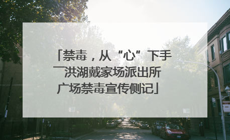 禁毒，从“心”下手――洪湖戴家场派出所广场禁毒宣传侧记