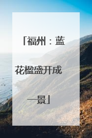 福州：蓝花楹盛开成一景