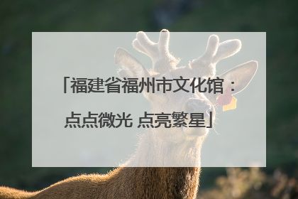 福建省福州市文化馆：点点微光 点亮繁星