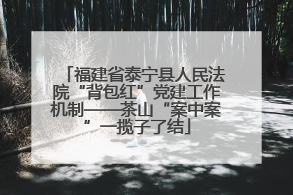 福建省泰宁县人民法院“背包红”党建工作机制——茶山“案中案”一揽子了结