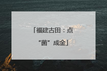 福建古田：点“菌”成金