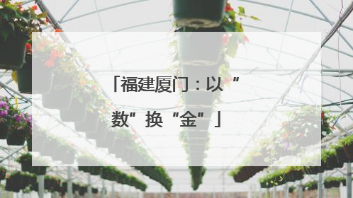 福建厦门：以“数”换“金”