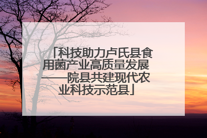 科技助力卢氏县食用菌产业高质量发展——院县共建现代农业科技示范县