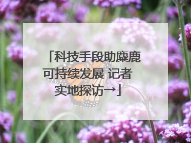 科技手段助麋鹿可持续发展 记者实地探访→