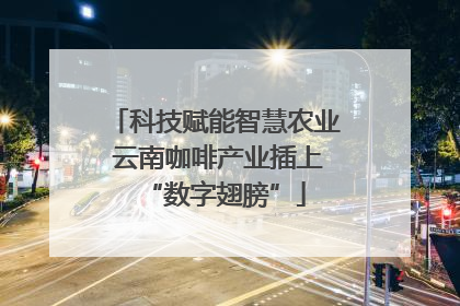 科技赋能智慧农业 云南咖啡产业插上“数字翅膀”