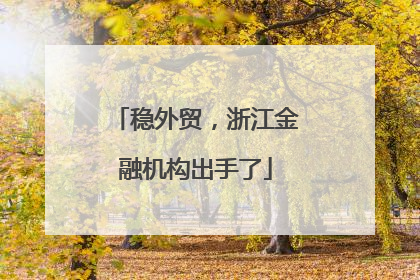 稳外贸，浙江金融机构出手了