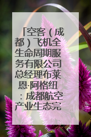 空客（成都）飞机全生命周期服务有限公司总经理布莱恩·阿格纽：成都航空产业生态完备，营商环境优势显著